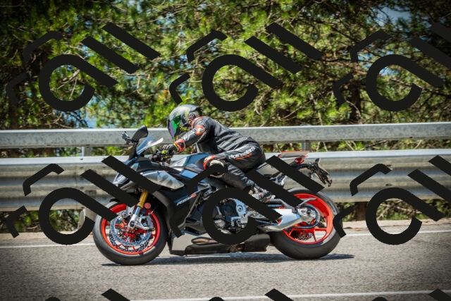 202507191231-DSC04302_c1_