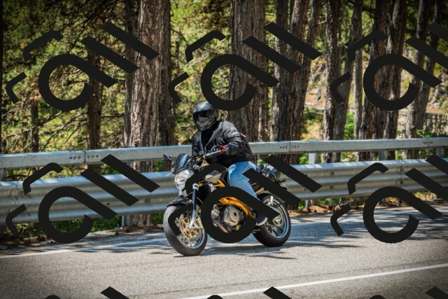 202507191232-DSC04313_c1_