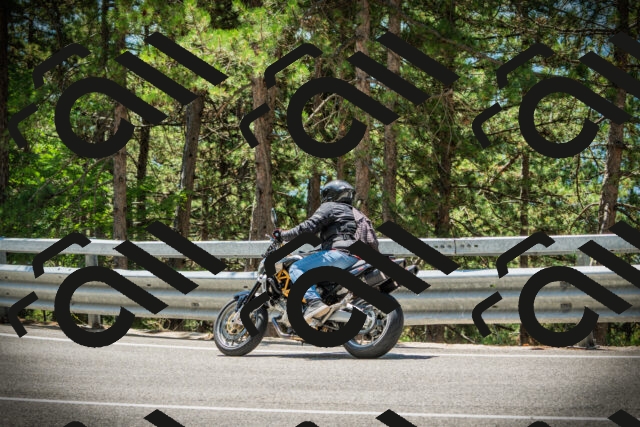 202507191232-DSC04316_c1_