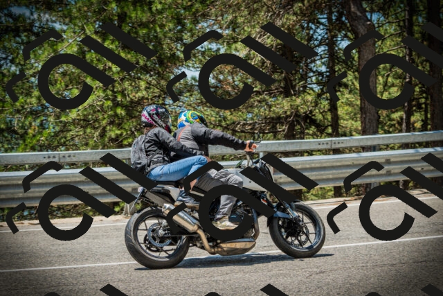 202507191232-DSC04322_c1_