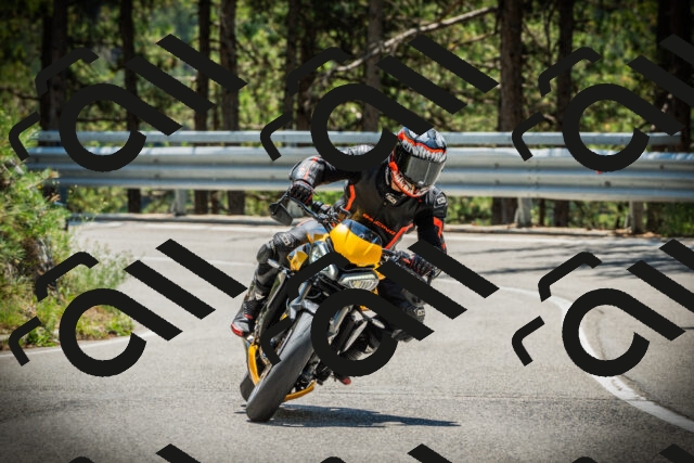 202507191233-DSC04335_c1_