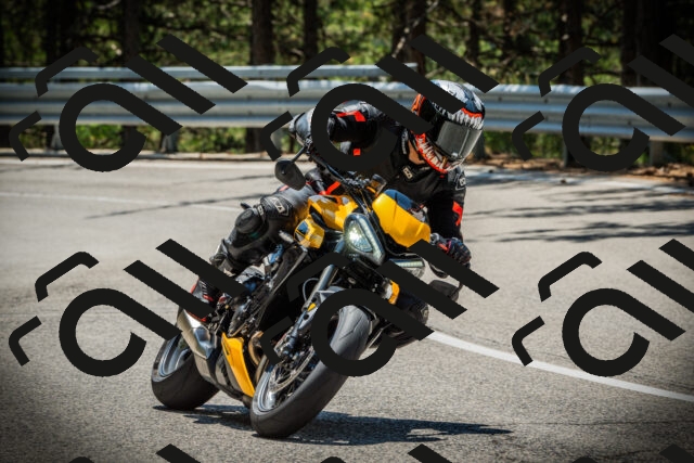 202507191233-DSC04336_c1_