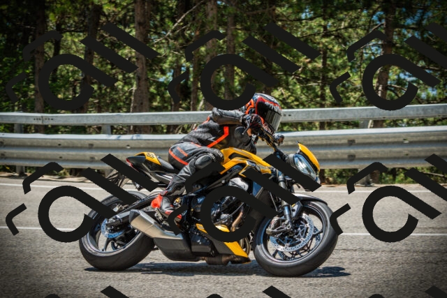 202507191233-DSC04337_c1_