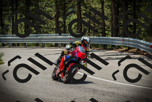 202507191233-DSC04339_c1_