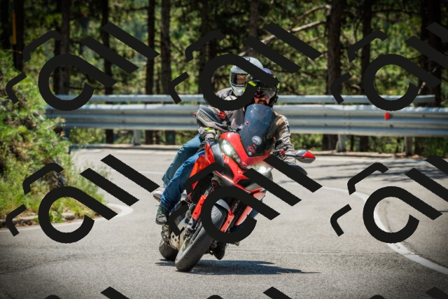 202507191234-DSC04345_c1_