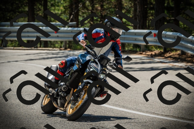 202507191234-DSC04352_c1_