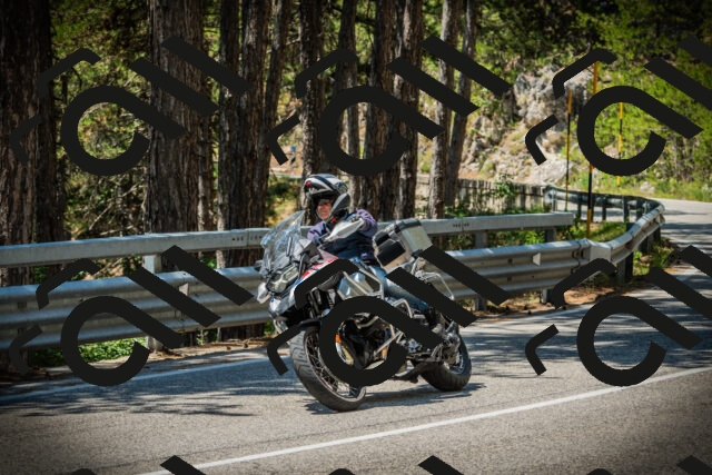 202507191234-DSC04356_c1_