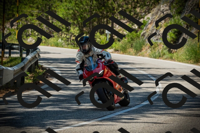 202507191234-DSC04367_c1_