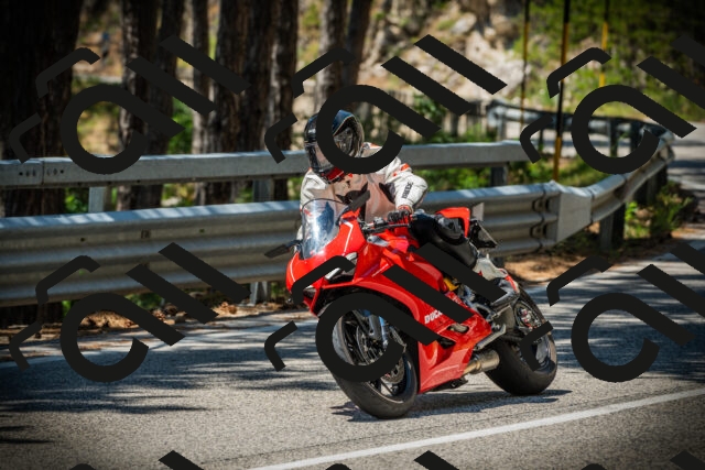 202507191234-DSC04368_c1_