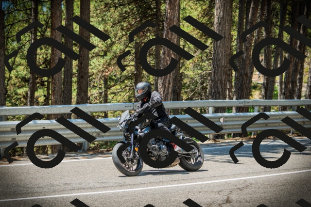 202507191235-DSC04378_c1_