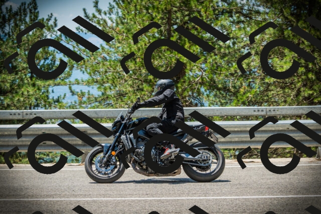 202507191235-DSC04379_c1_