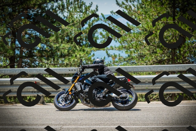 202507191235-DSC04381_c1_