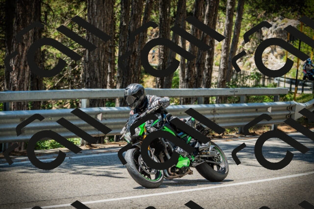 202507191235-DSC04385_c1_