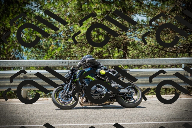 202507191235-DSC04388_c1_