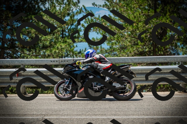 202507191235-DSC04390_c1_