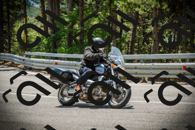 202507191236-DSC04394_c1_