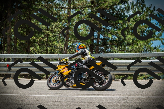 202507191236-DSC04398_c1_