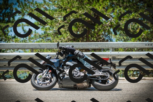 202507191236-DSC04407_c1_