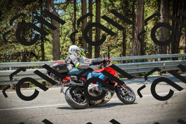 202507191237-DSC04414_c1_