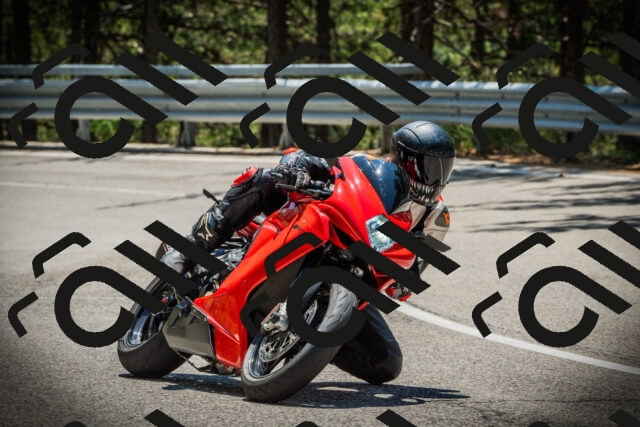 202507191238-DSC04416_c1_