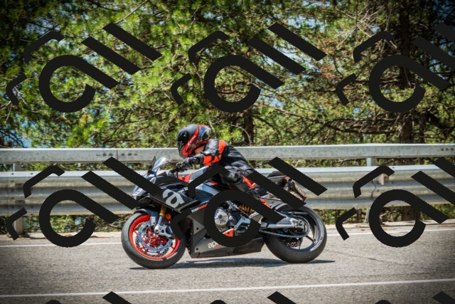 202507191240-DSC04429_c1_