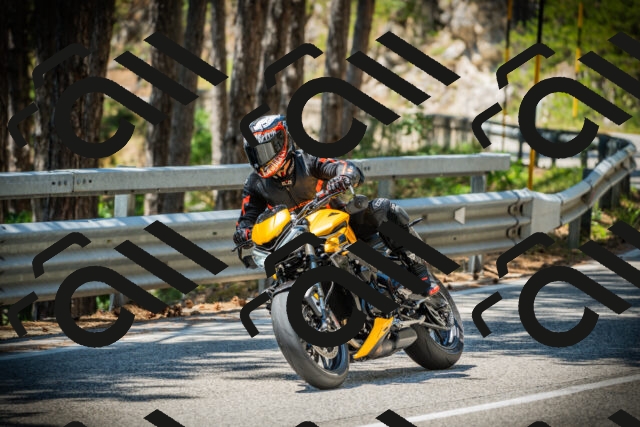 202507191240-DSC04435_c1_