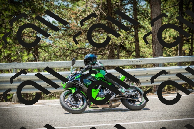 202507191240-DSC04437_c1_