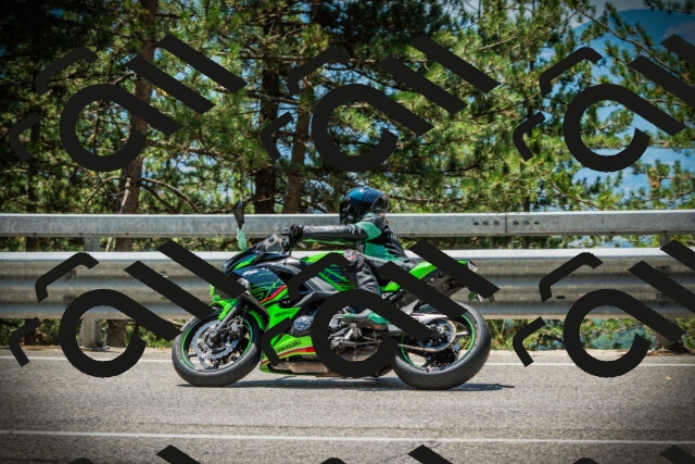 202507191240-DSC04438_c1_