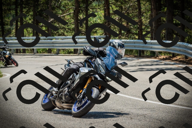 202507191241-DSC04445_c1_