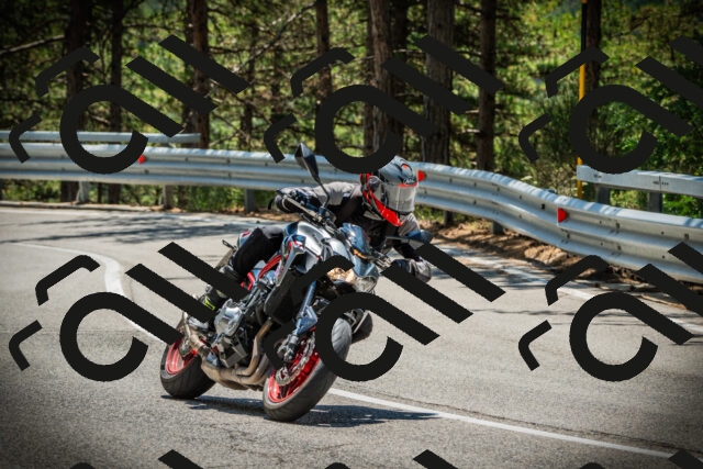 202507191241-DSC04448_c1_