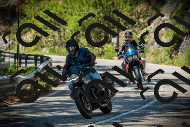 202507191241-DSC04453_c1_