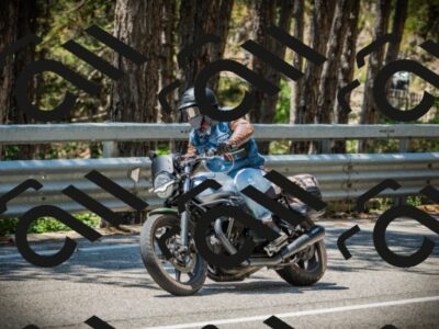 202507191241-DSC04454_c1_