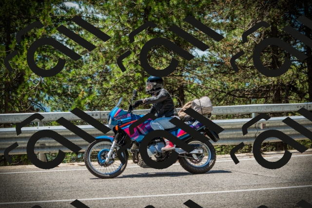 202507191241-DSC04456_c1_