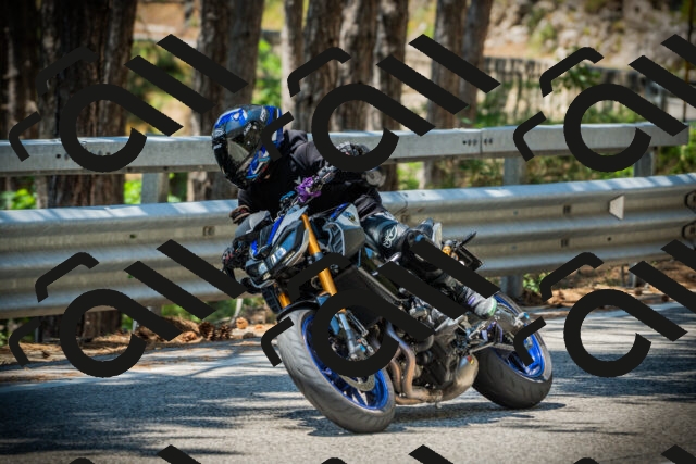 202507191242-DSC04466_c1_