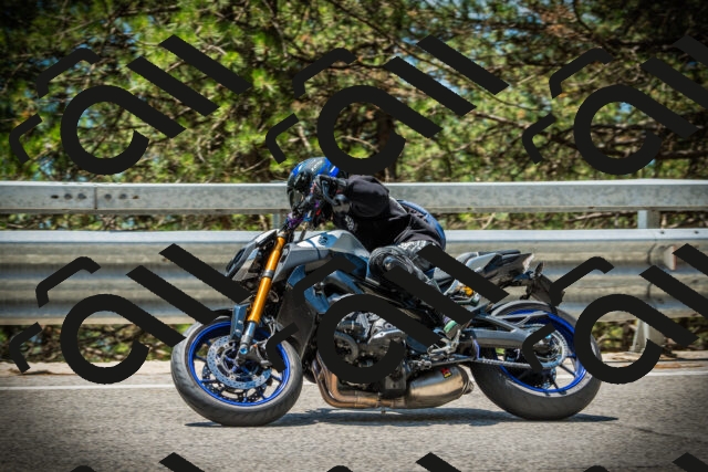 202507191242-DSC04467_c1_