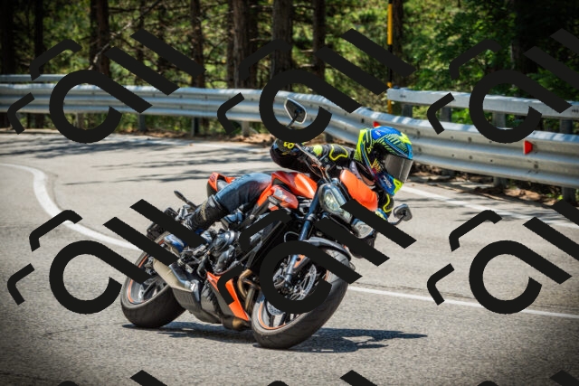 202507191243-DSC04473_c1_