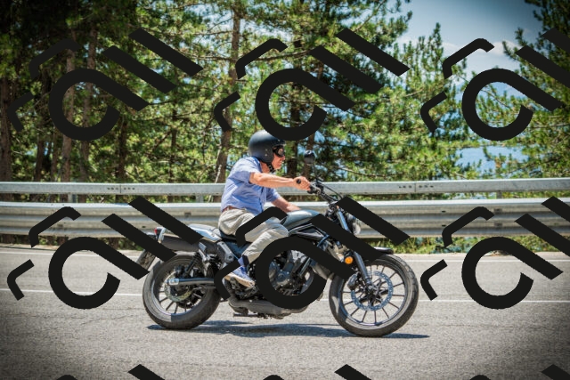 202507191244-DSC04486_c1_