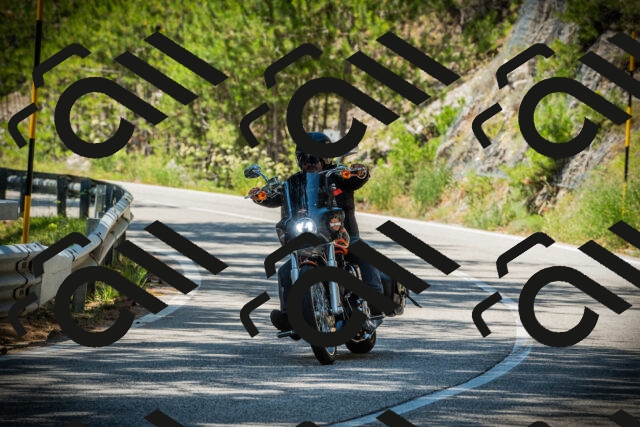 202507191245-DSC04497_c1_