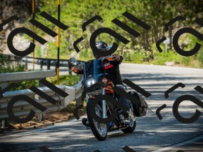 202507191245-DSC04498_c1_