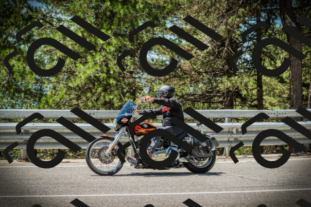 202507191245-DSC04500_c1_