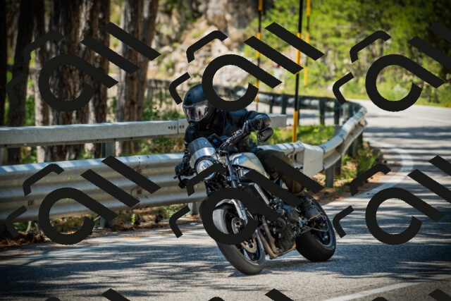 202507191248-DSC04529_c1_