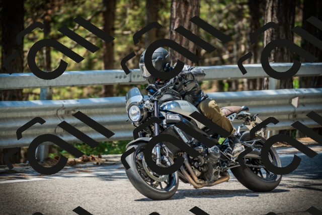 202507191248-DSC04530_c1_