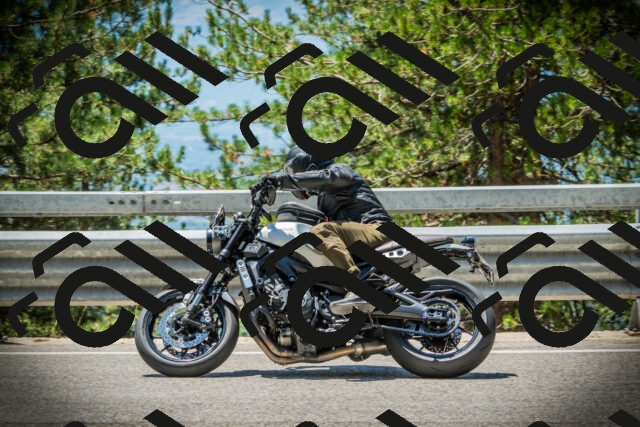 202507191248-DSC04531_c1_