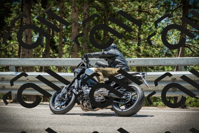 202507191248-DSC04532_c1_