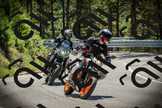 202507191248-DSC04539_c1_