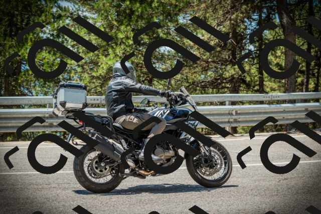 202507191248-DSC04542_c1_