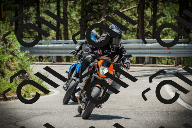 202507191249-DSC04550_c1_