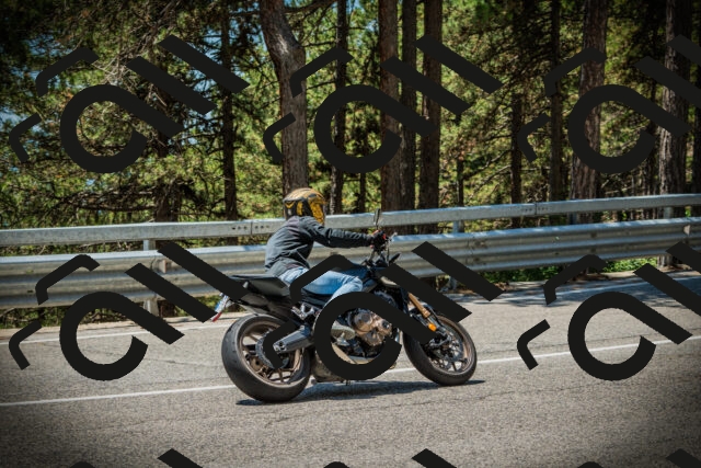 202507191249-DSC04555_c1_