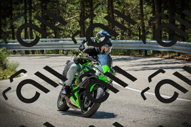 202507191250-DSC04560_c1_