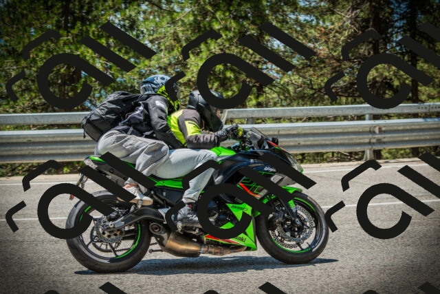 202507191250-DSC04562_c1_